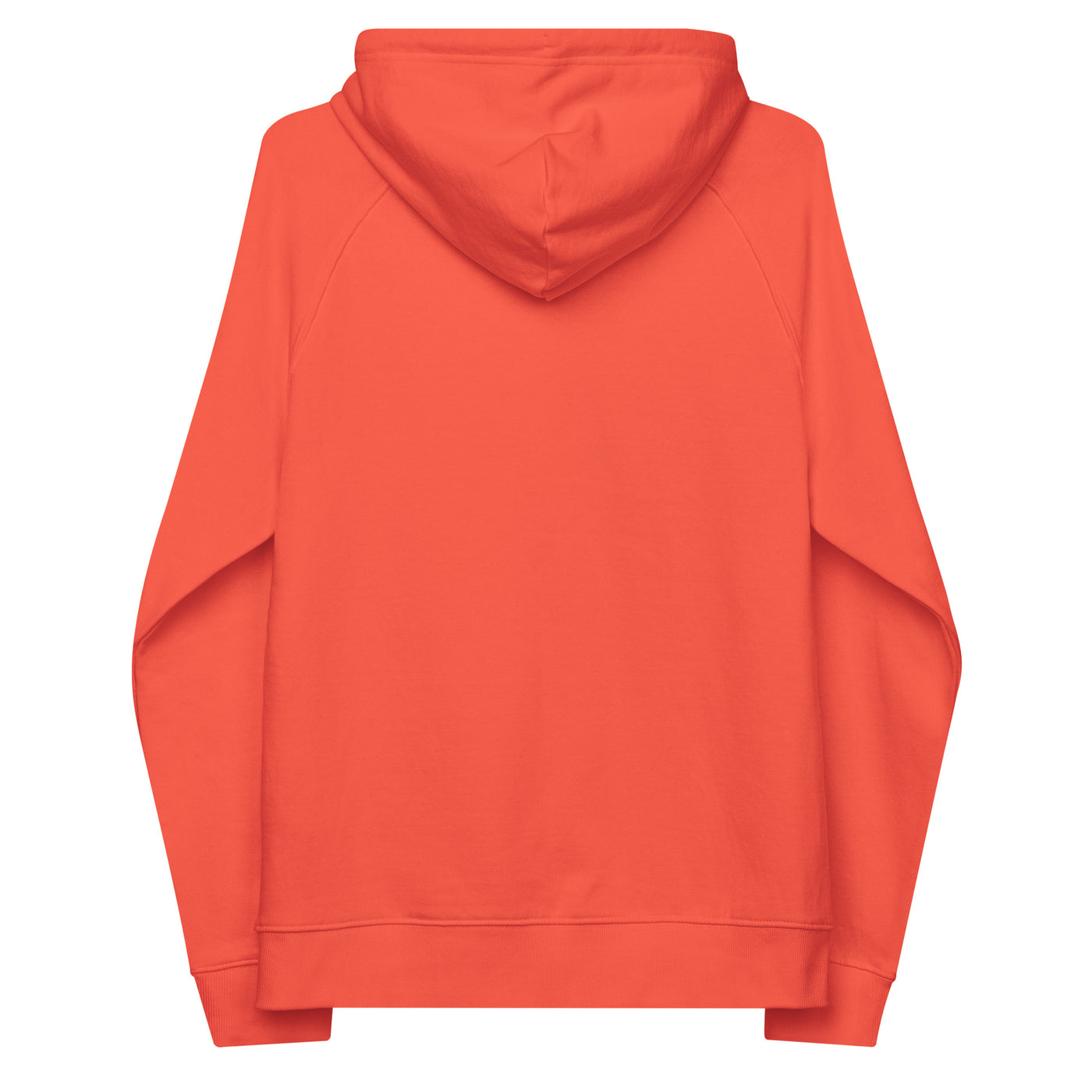 unisex eco raglan hoodie with colorful teddy bear print